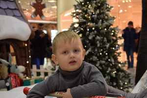 Image-preview_300x200