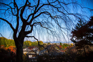 Image-preview_300x200