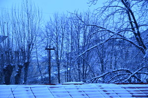 Image-preview_300x200