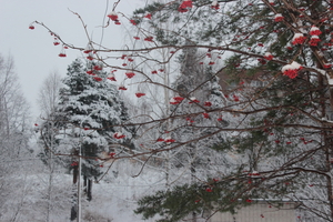 Image-preview_300x200