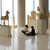 Image-square_50