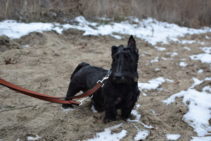 Image-preview_300x200