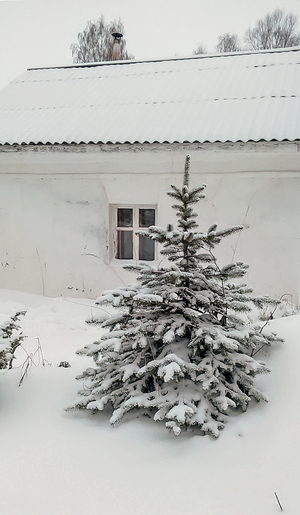 Image-preview_300x200