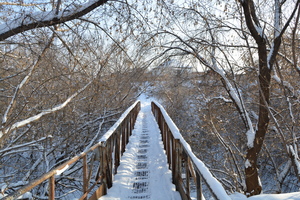 Image-preview_300x200