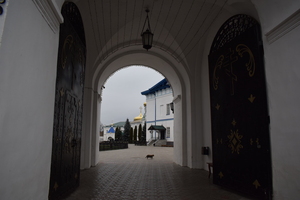 Image-preview_300x200