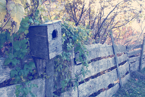 Image-preview_300x200