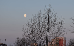 Image-preview_300x200