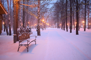 Image-preview_300x200