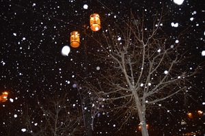 Image-preview_300x200