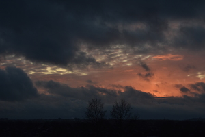 Image-preview_300x200