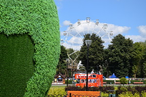 Image-preview_300x200