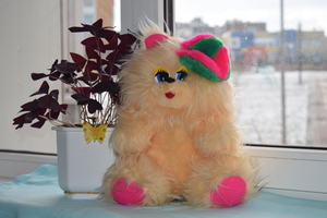 Image-preview_300x200