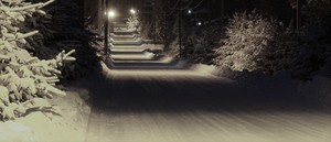 Image-preview_300x200