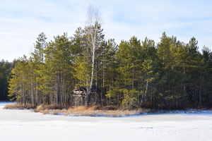 Image-preview_300x200