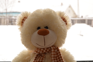 Image-preview_300x200