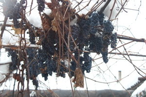 Image-preview_300x200