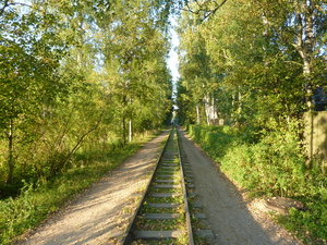 Image-preview_300x200