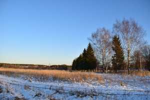 Image-preview_300x200