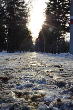 Image-preview_300x200