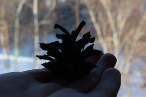 Image-preview_300x200