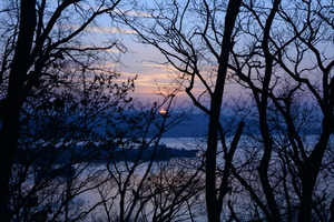 Image-preview_300x200