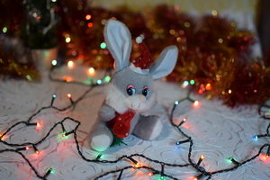 Image-preview_300x200