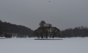 Image-preview_300x200