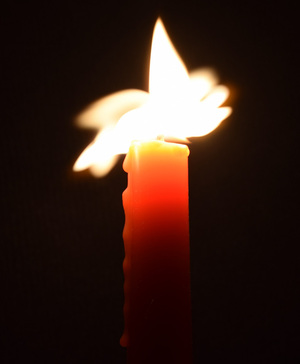 Image-preview_300x200