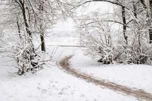 Image-preview_300x200