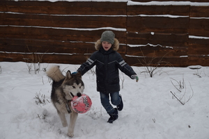 Image-preview_300x200