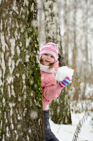 Image-preview_300x200