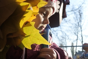 Image-preview_300x200