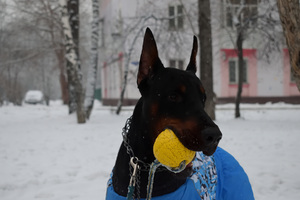 Image-preview_300x200