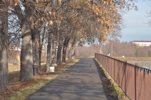 Image-preview_300x200