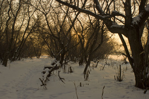 Image-preview_300x200