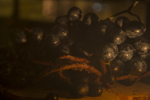 Image-preview_300x200