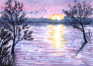 Image-preview_300x200