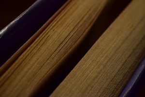 Image-preview_300x200