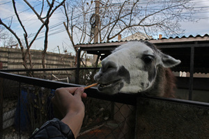 Image-preview_300x200