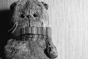 Image-preview_300x200