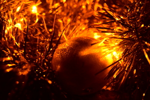 Image-preview_300x200