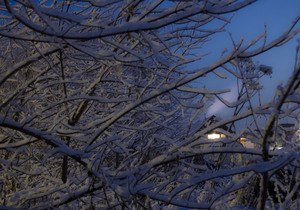 Image-preview_300x200