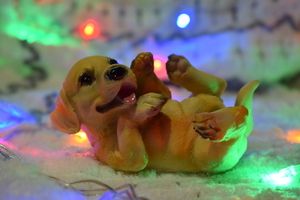 Image-preview_300x200