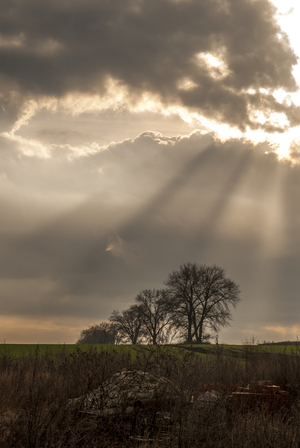 Image-preview_300x200