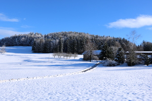 Image-preview_300x200