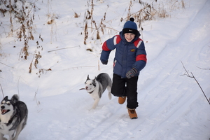 Image-preview_300x200