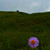 Image-square_50