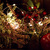Image-square_50