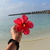 Image-square_50