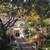 Image-square_50